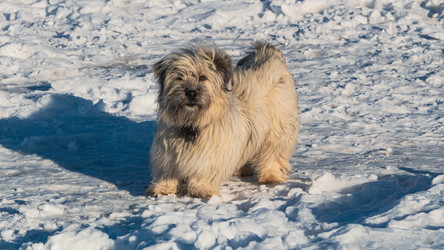 Similar image 21805073