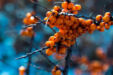 Similar image 21805074