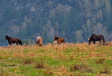 Similar image 21807709