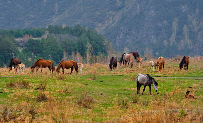 Similar image 21807711