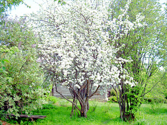 Similar image 21805485