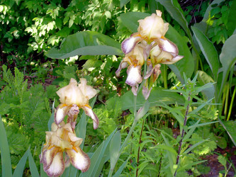 Similar image 21805486