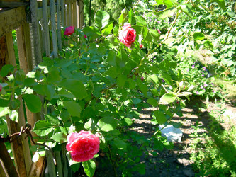 Similar image 21805488