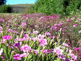 Similar image 21805489