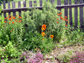 Similar image 21805490