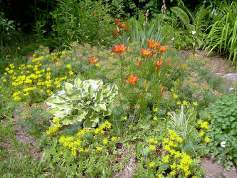 Similar image 21805493