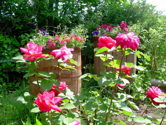 Similar image 21805494