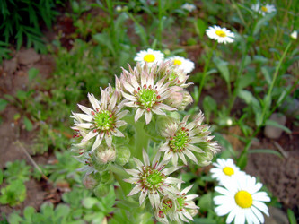 Similar image 21805495