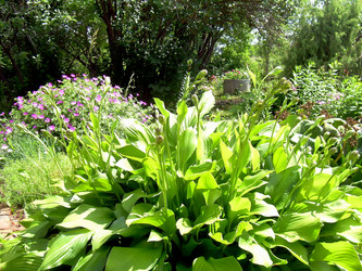 Similar image 21805497