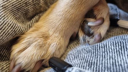 Similar image 21805078