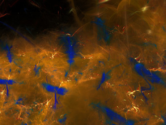 Similar image 21807583