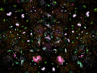 Similar image 21808456