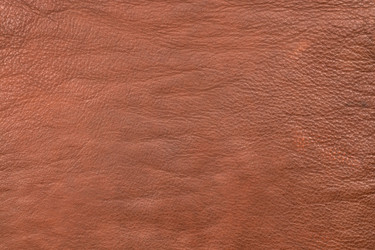 Similar image 21812510