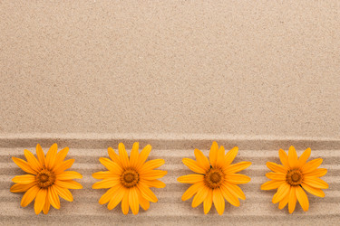 Similar image 21812520