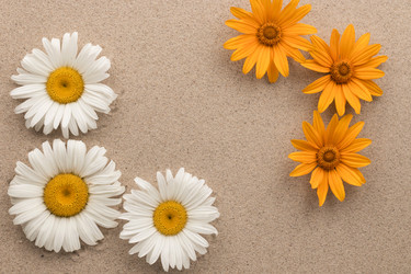 Similar image 21812526