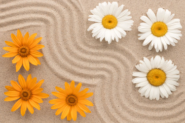 Similar image 21812527