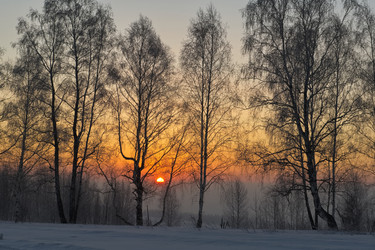 Similar image 21806961