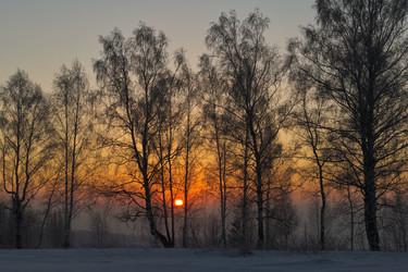 Similar image 21806963