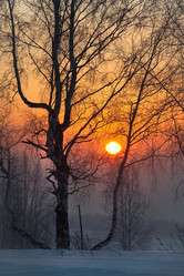 Similar image 21806964