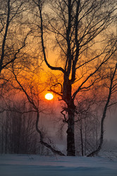 Similar image 21806965