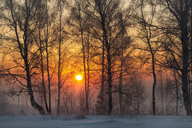 Similar image 21806968