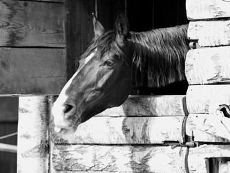 Similar image 21805079