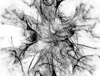 Similar image 21811117