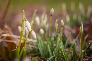 Similar image 21805898