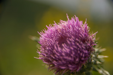 Similar image 21805903