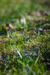 Similar image 21805904