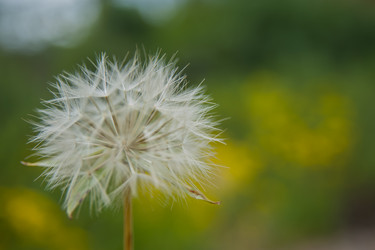 Similar image 21805907