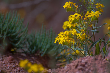 Similar image 21805908