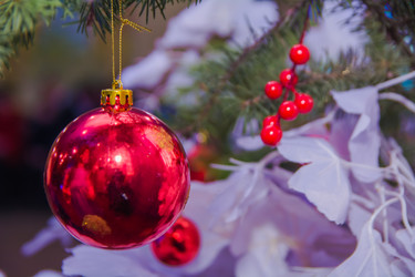 Similar image 21805909