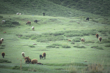 Similar image 21805910