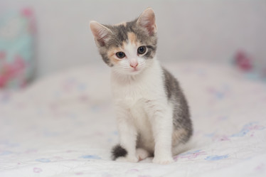 Similar image 21805913