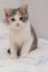 Similar image 21805914