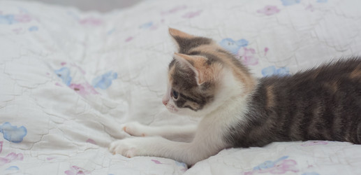 Similar image 21805924