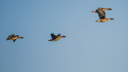 Similar image 21805546