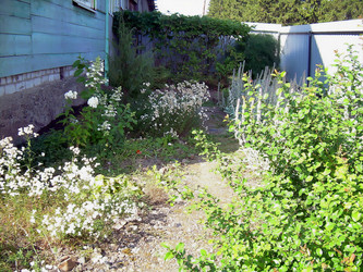 Similar image 21805938