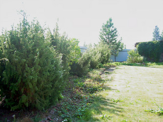 Similar image 21805943