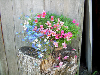 Similar image 21805947