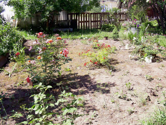 Similar image 21805951