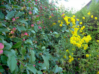 Similar image 21805954