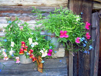 Similar image 21805955