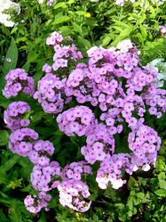 Similar image 21806379