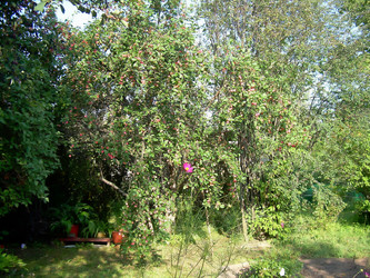 Similar image 21806380