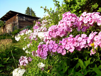 Similar image 21806382