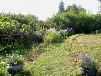 Similar image 21806383