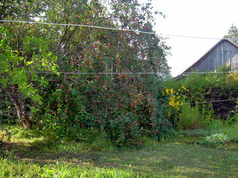 Similar image 21806384