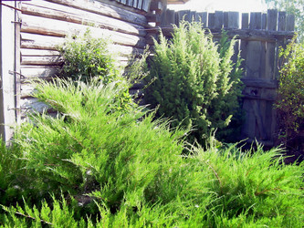 Similar image 21806385